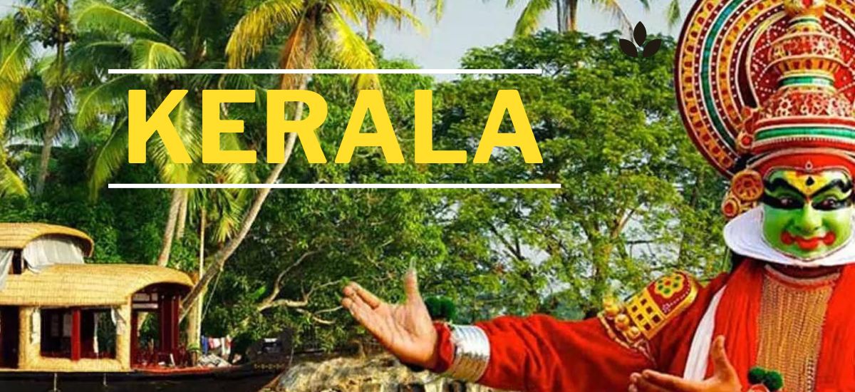 KERALA 4 Nights 5 Days – FIT Package                                (EX Cochin Munnar 2N – Thekkady 1N – Alleppey/Kumarakom 1N)