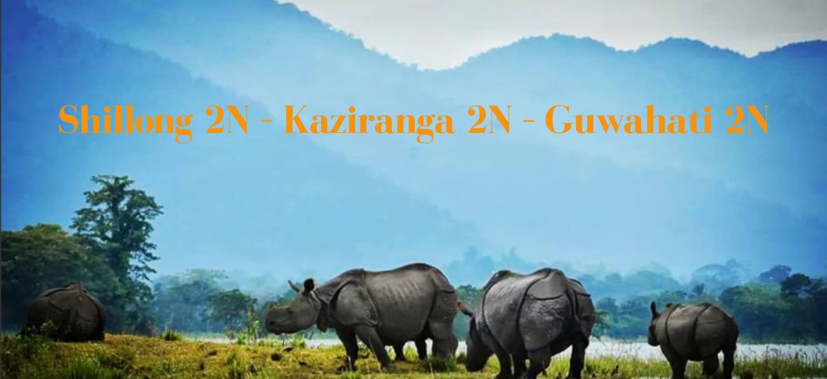Shillong 2N – Kaziranga 2N – Guwahati 2N