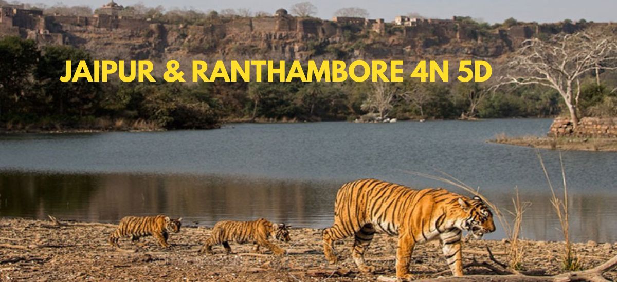 JAIPUR 2N + RANTHAMBORE 2N