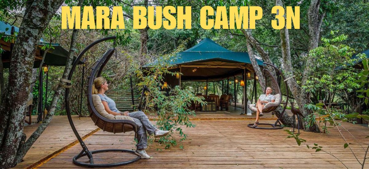 MARA BUSH CAMP 3N LUXURY TENTS
