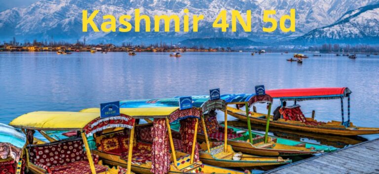 Read more about the article Kashmir Luxury Package 4 Nights 5 Days