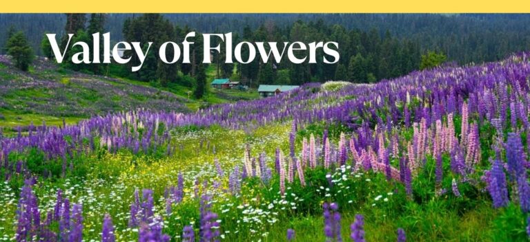 Read more about the article Valley of Flowers with Hemkund Sahib