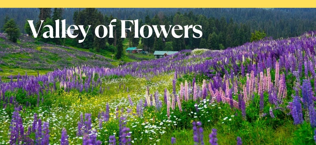 Valley of Flowers with Hemkund Sahib