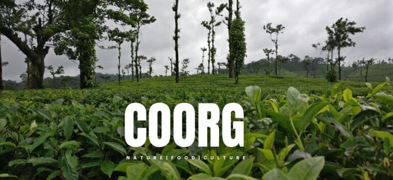 Read more about the article Coorg 3 Nights 4 Days