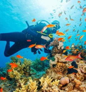 020523111953-1509546151_Underwater-Scuba-diver-explore-and-enjo