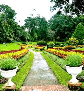 472864805Kandy_Botanical_Garden