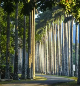 GALLERY_RBG-5
