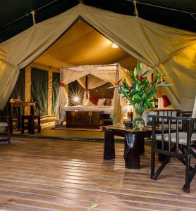 Tent7