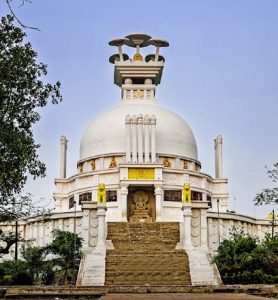 about-dhauli