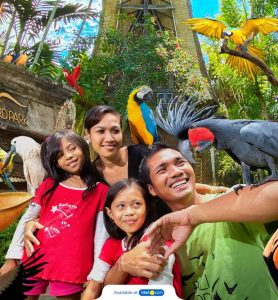 bali-om-tours-bali-bird-park-1