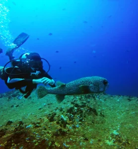 deepdiving