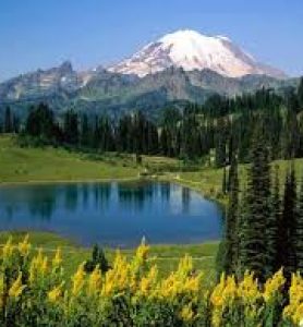 images (1)