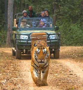 kanasafari