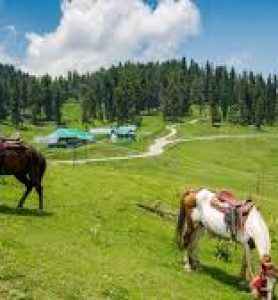 kashmir 4