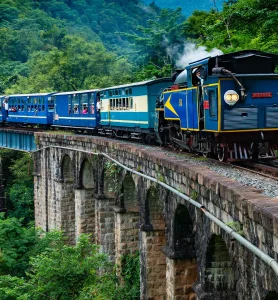 the-nilgiri-mountain-railway-1653904566_39d2e58ed7221faa8057